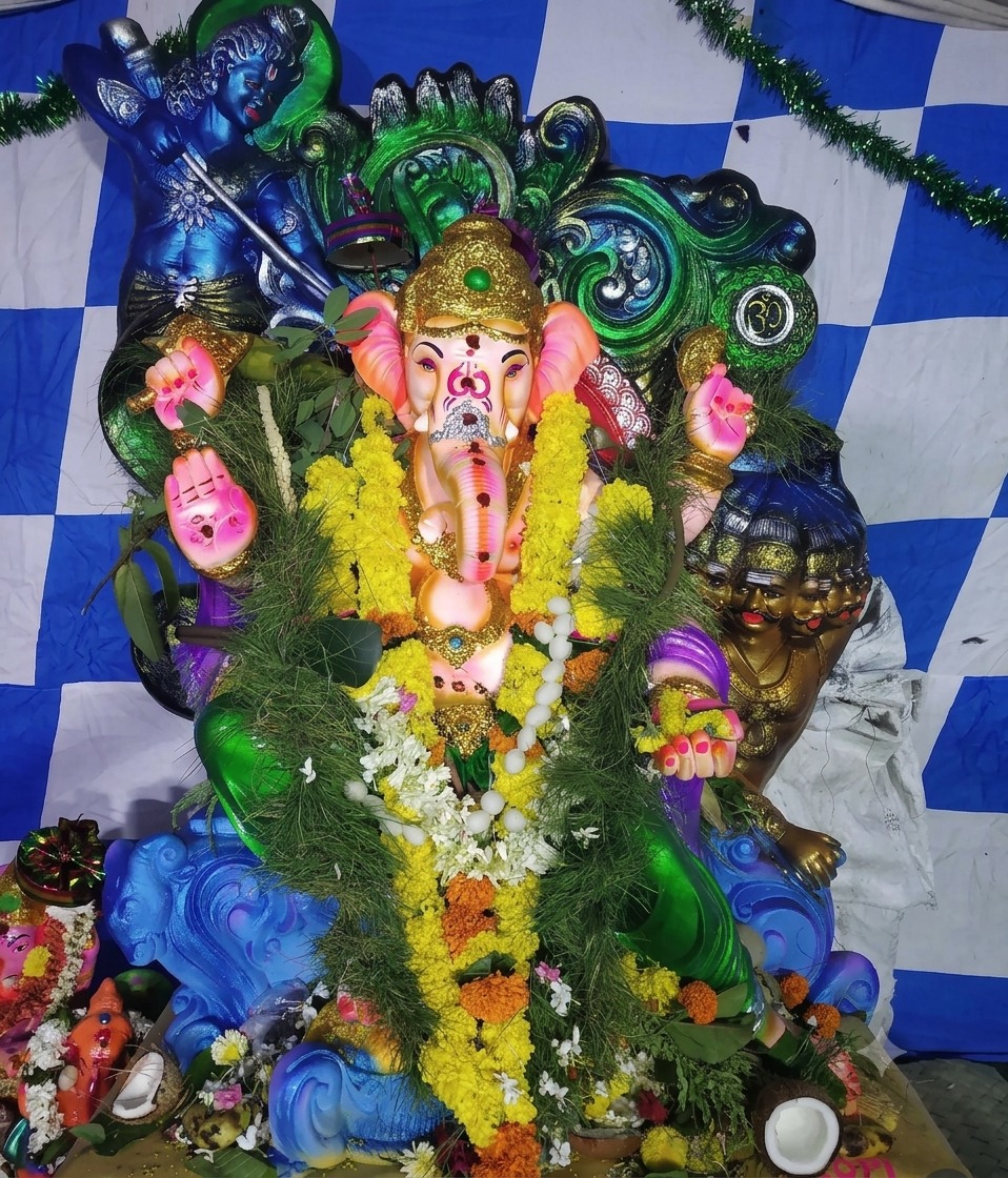 Softwarebois 2019 Ganesha idol