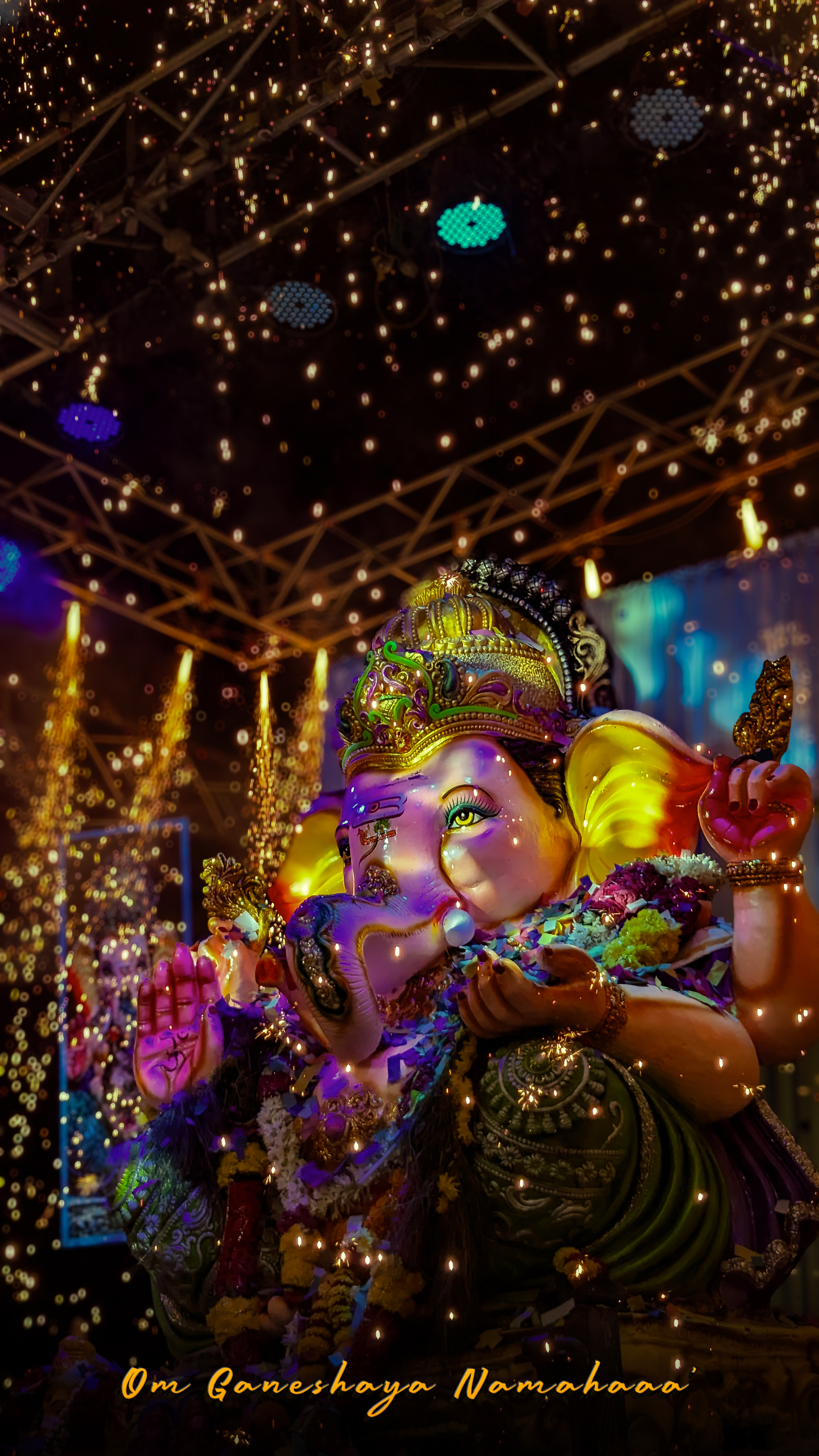 Softwarebois 2024 Ganesha idol